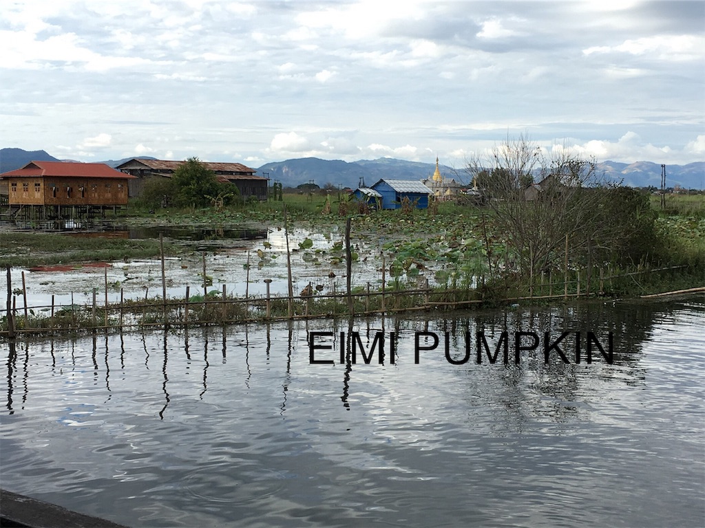 f:id:Eimypumpkin:20190910073317j:image f:id:Eimypumpkin:20190910073317j:image