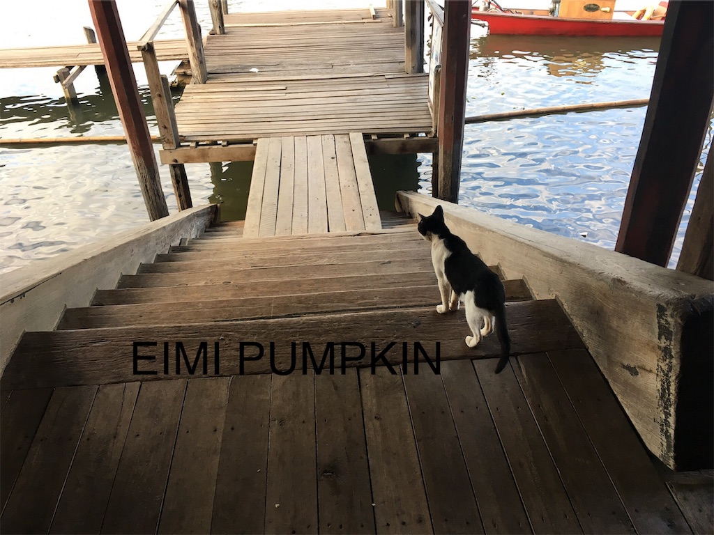 f:id:Eimypumpkin:20190917080330j:image f:id:Eimypumpkin:20190917080330j:image