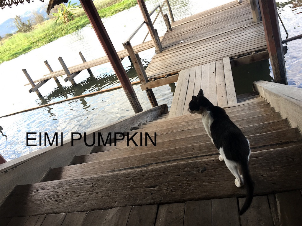 f:id:Eimypumpkin:20190917080343j:image f:id:Eimypumpkin:20190917080343j:image