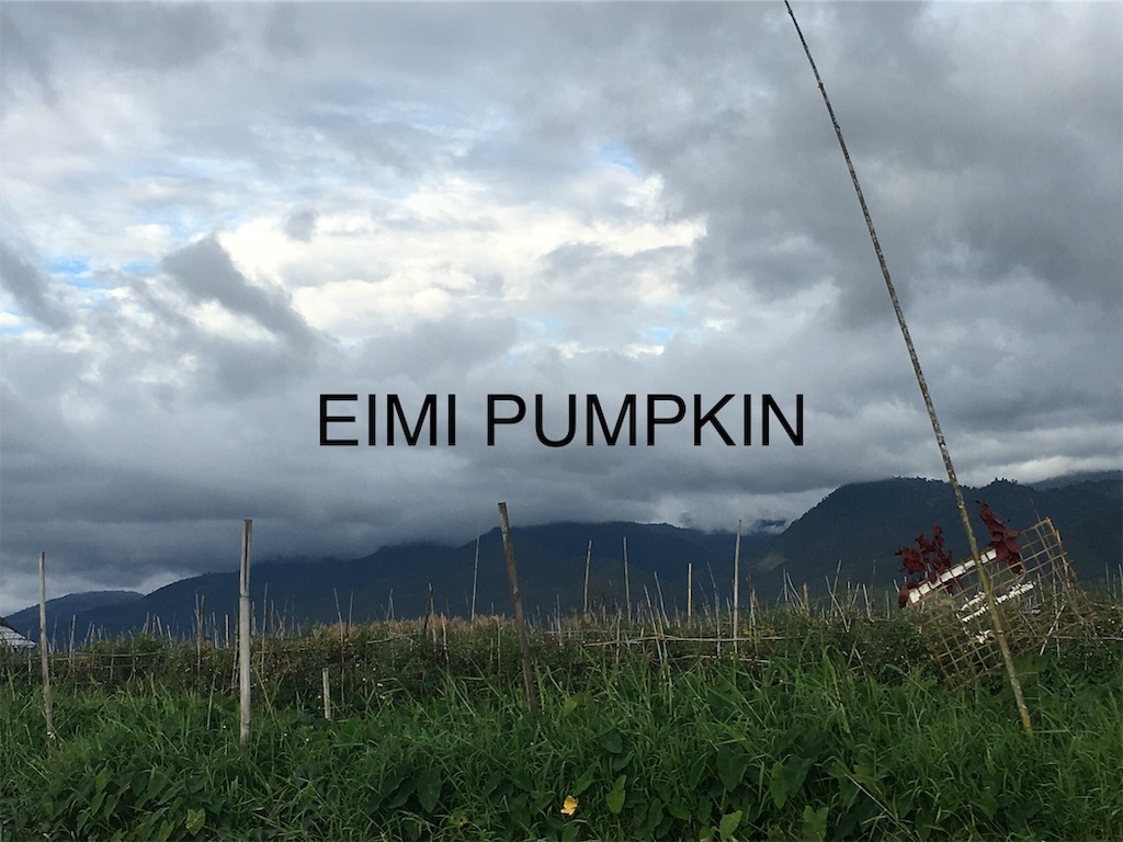 f:id:Eimypumpkin:20190917080438j:image f:id:Eimypumpkin:20190917080438j:image