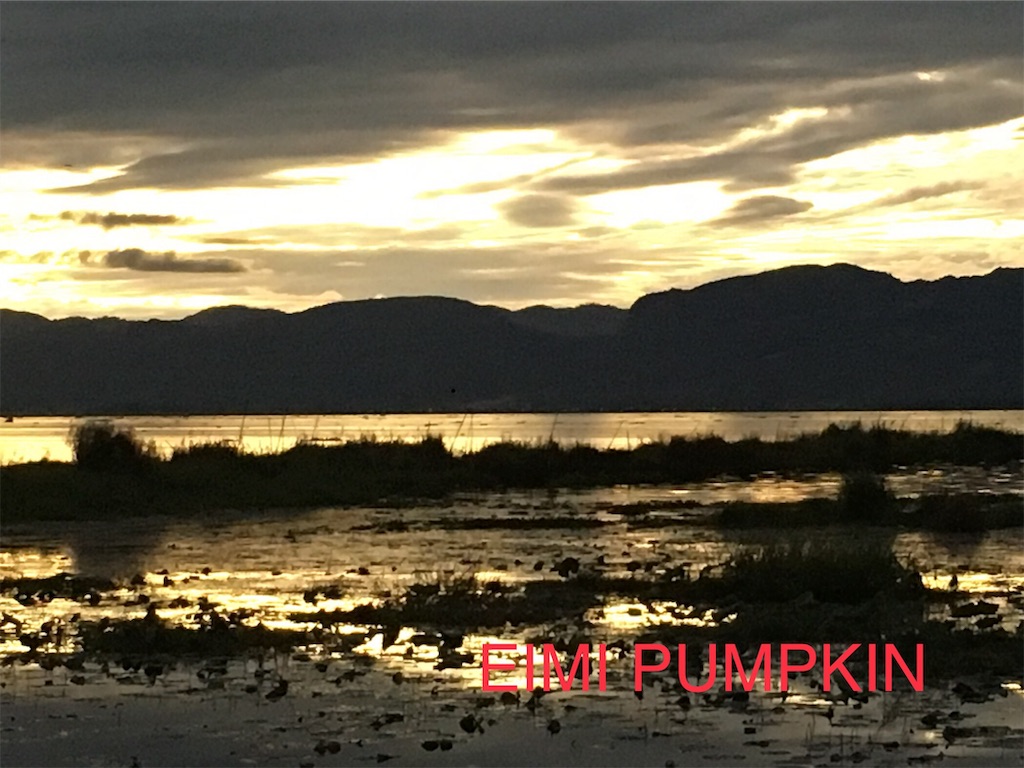 f:id:Eimypumpkin:20190918073658j:image f:id:Eimypumpkin:20190918073658j:image