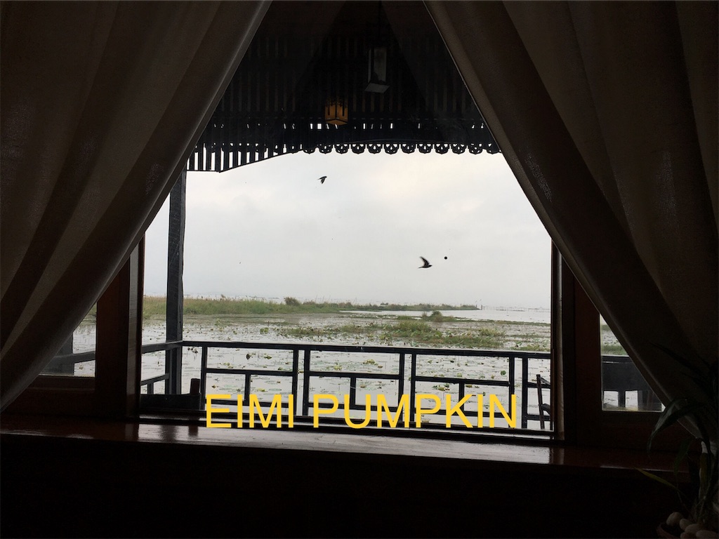 f:id:Eimypumpkin:20190919072958j:image f:id:Eimypumpkin:20190919072958j:image