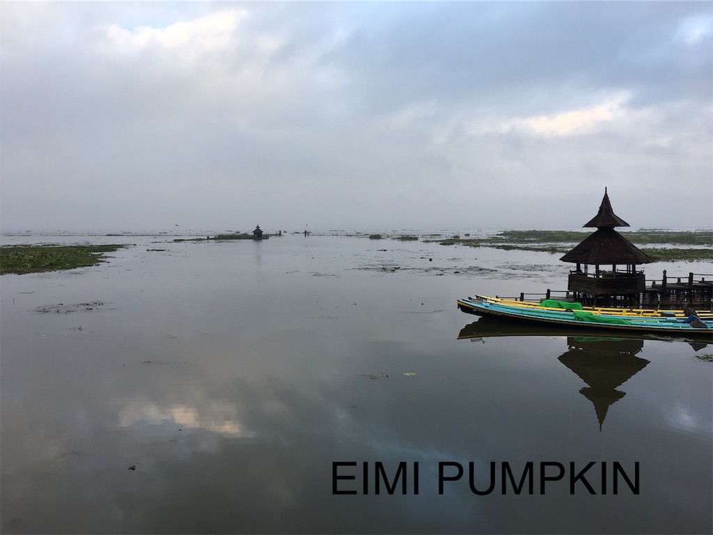 f:id:Eimypumpkin:20190919073001j:image f:id:Eimypumpkin:20190919073001j:image
