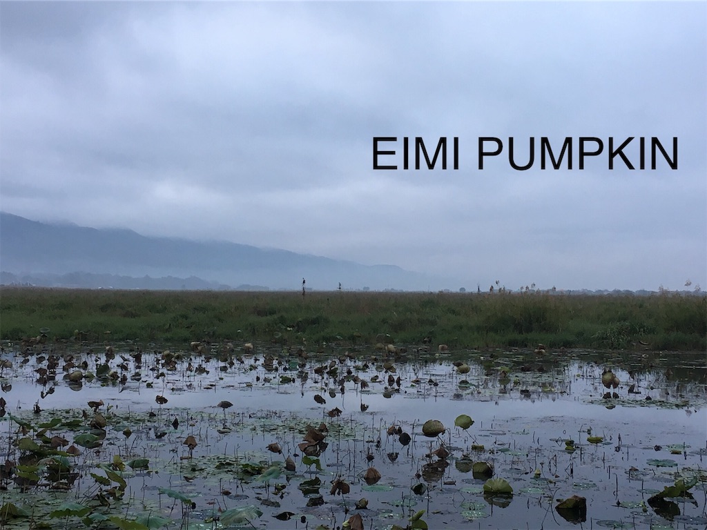 f:id:Eimypumpkin:20190919073004j:image f:id:Eimypumpkin:20190919073004j:image