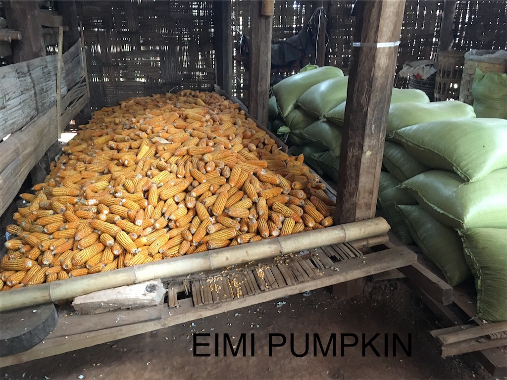 f:id:Eimypumpkin:20191018075300j:image f:id:Eimypumpkin:20191018075300j:image