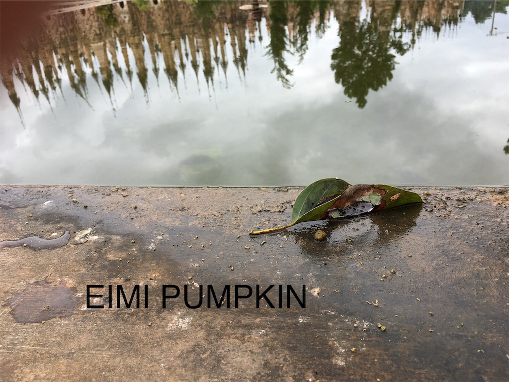 f:id:Eimypumpkin:20191018075303j:image f:id:Eimypumpkin:20191018075303j:image