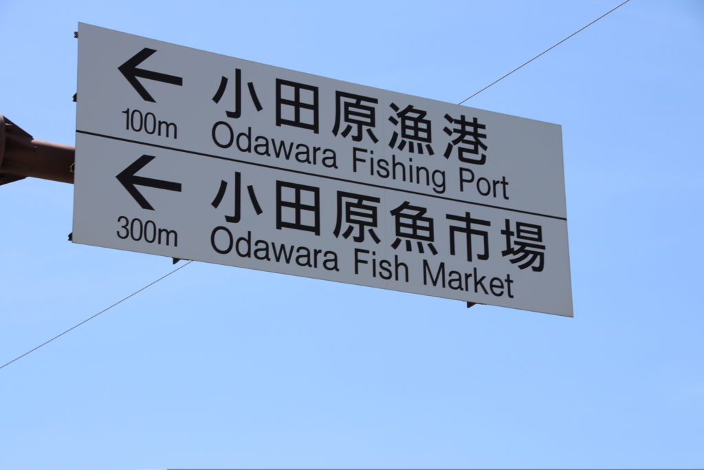 f:id:Eiyoku_JK:20180820020455j:plain f:id:Eiyoku_JK:20180820020455j:plain
