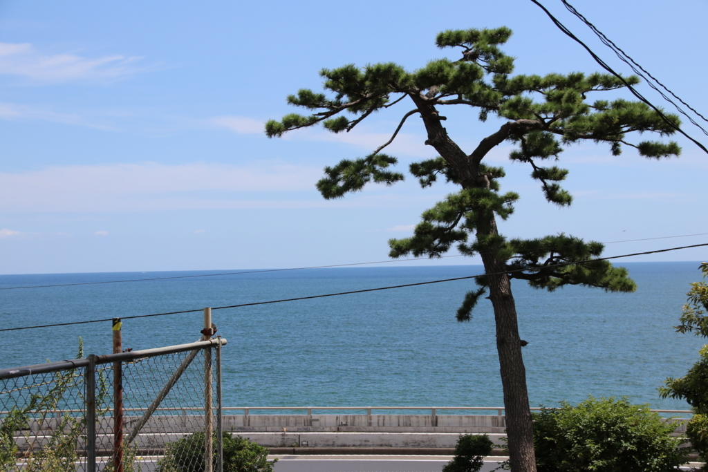 f:id:Eiyoku_JK:20180820021145j:plain f:id:Eiyoku_JK:20180820021145j:plain