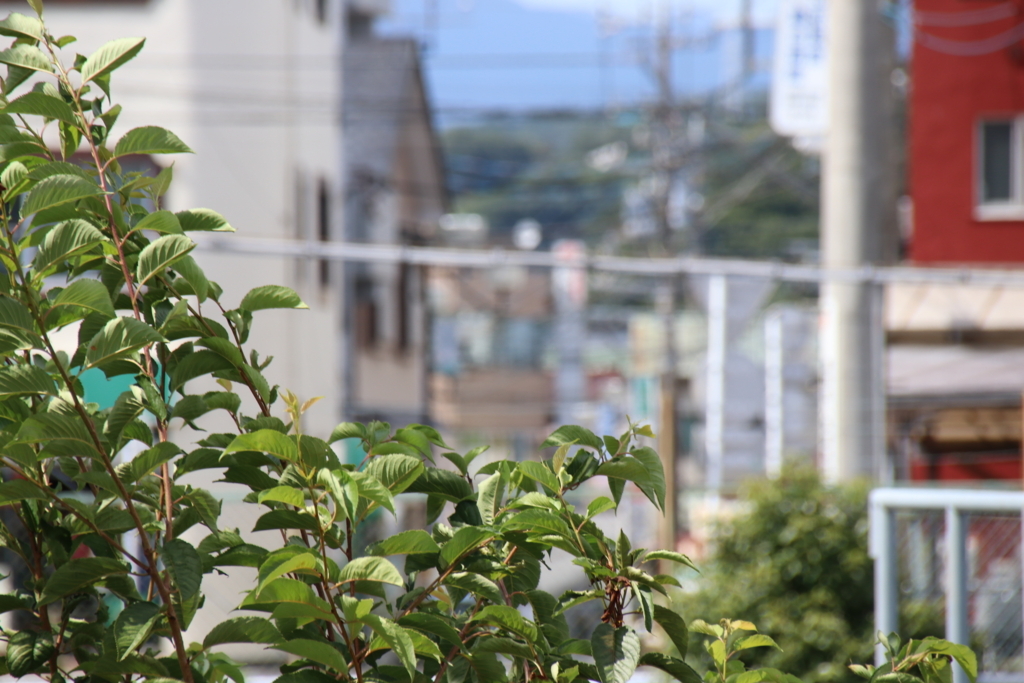 f:id:Eiyoku_JK:20180820021452j:plain f:id:Eiyoku_JK:20180820021452j:plain