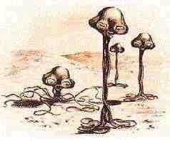 f:id:El_Payo_J:20101203090051j:image f:id:El_Payo_J:20101203090051j:image