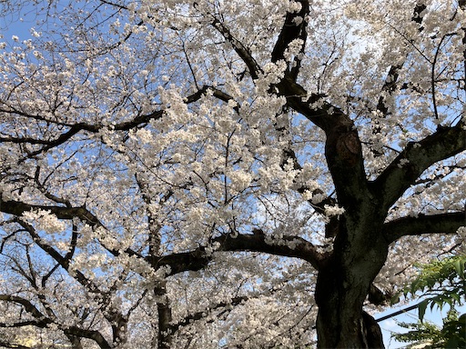 f:id:Elecman:20250330230259j:image