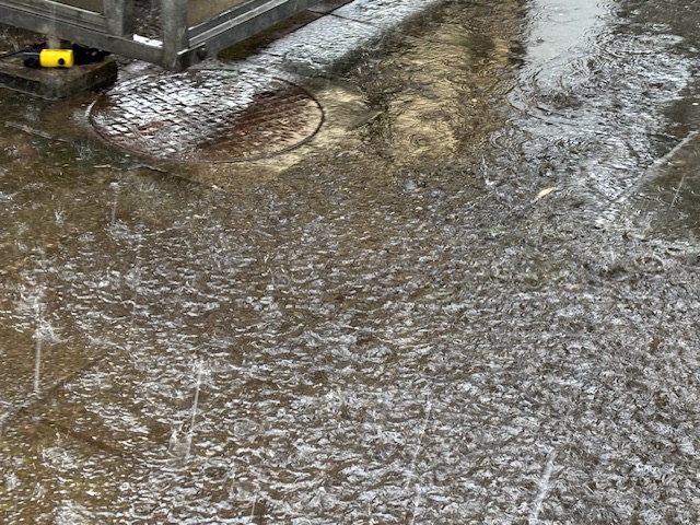 今日は あめ、雨 - もかの雑記帳2
