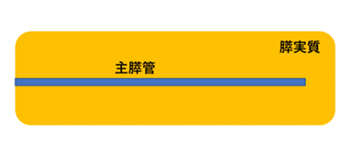 f:id:Elly26:20190529164759p:plain