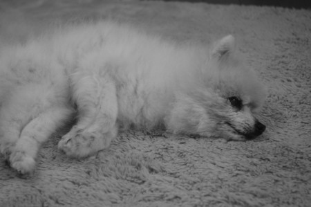 f:id:Elmar5:20120616152437j:image