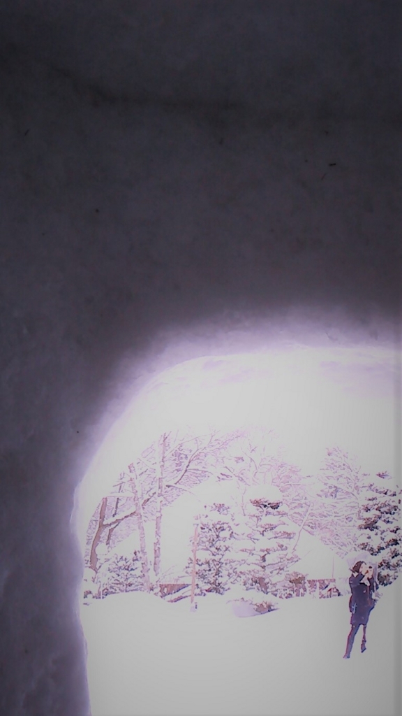 f:id:Emily-Ryu:20180218192719j:plain f:id:Emily-Ryu:20180218192719j:plain