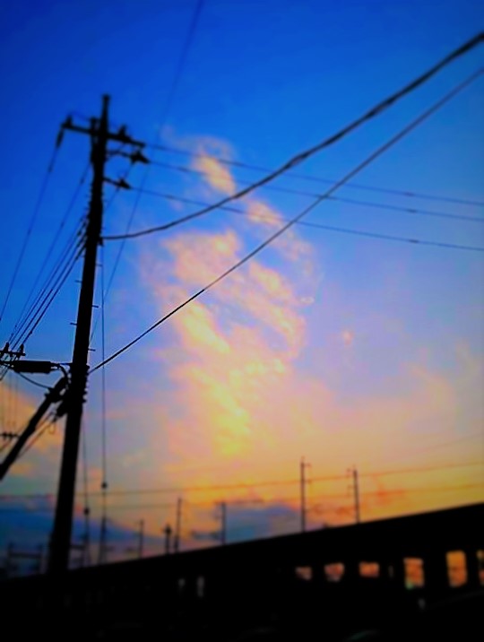 f:id:Emily-Ryu:20180803222534j:plain f:id:Emily-Ryu:20180803222534j:plain