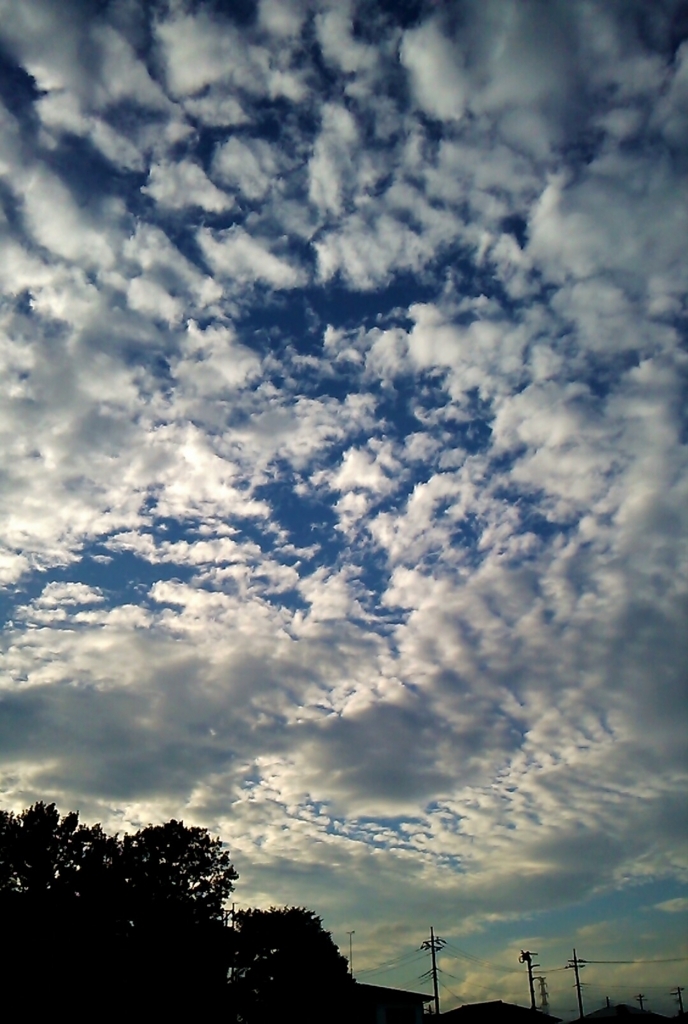 f:id:Emily-Ryu:20180822003427j:plain f:id:Emily-Ryu:20180822003427j:plain