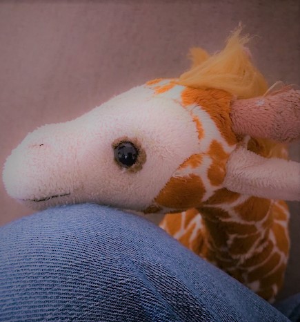 f:id:Emily-Ryu:20190616151209j:plain f:id:Emily-Ryu:20190616151209j:plain