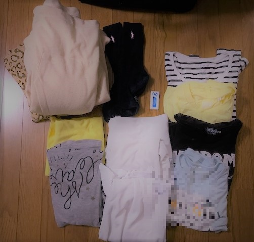 f:id:Emily-Ryu:20190628203339j:plain f:id:Emily-Ryu:20190628203339j:plain