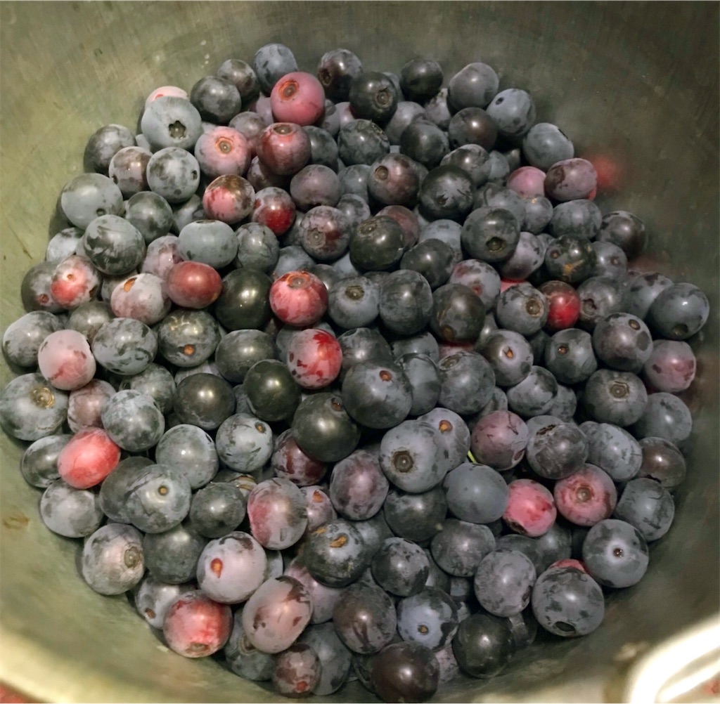 f:id:Emily-Ryu:20220724133652j:image f:id:Emily-Ryu:20220724133652j:image