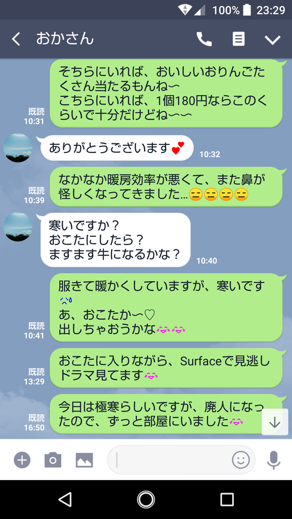 12月11日は廃人記念日 こたつとwi Fiの営業を始めました エミリーの思い