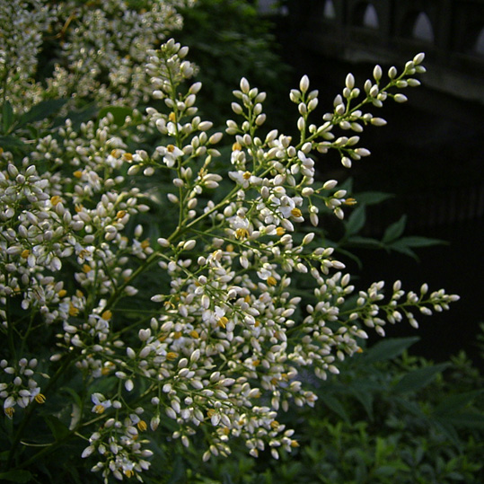 f:id:Emmaus:20080615055617j:image