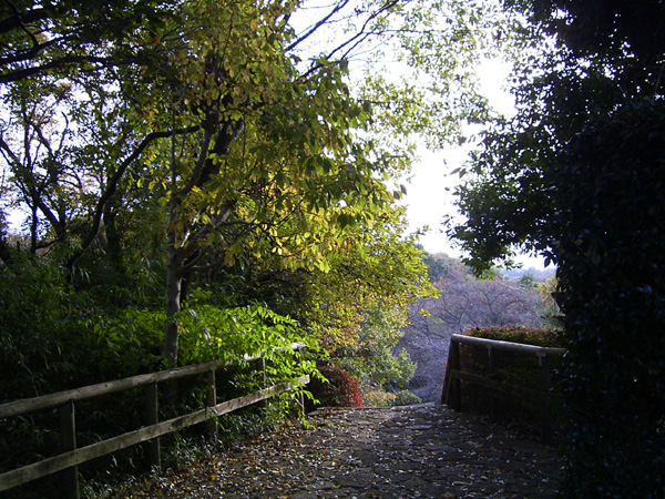 jog081123