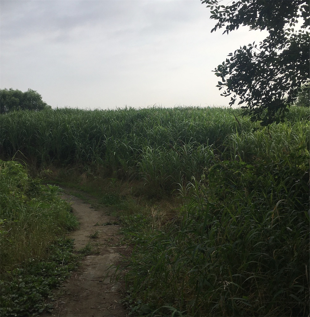 f:id:Emmaus:20210709131913j:image:w400