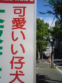 f:id:Emmery:20090713090929j:plain f:id:Emmery:20090713090929j:plain