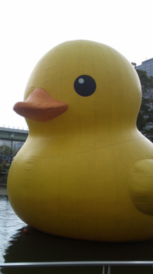 f:id:Emmery:20161124192718j:plain