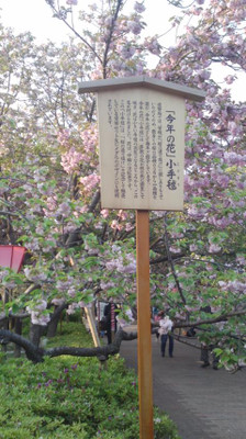 f:id:Emmery:20161125205143j:plain f:id:Emmery:20161125205143j:plain