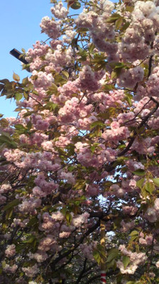 f:id:Emmery:20161125205153j:plain f:id:Emmery:20161125205153j:plain