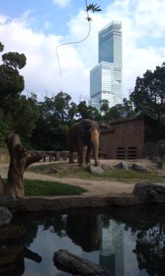 f:id:Emmery:20161127112902j:plain f:id:Emmery:20161127112902j:plain