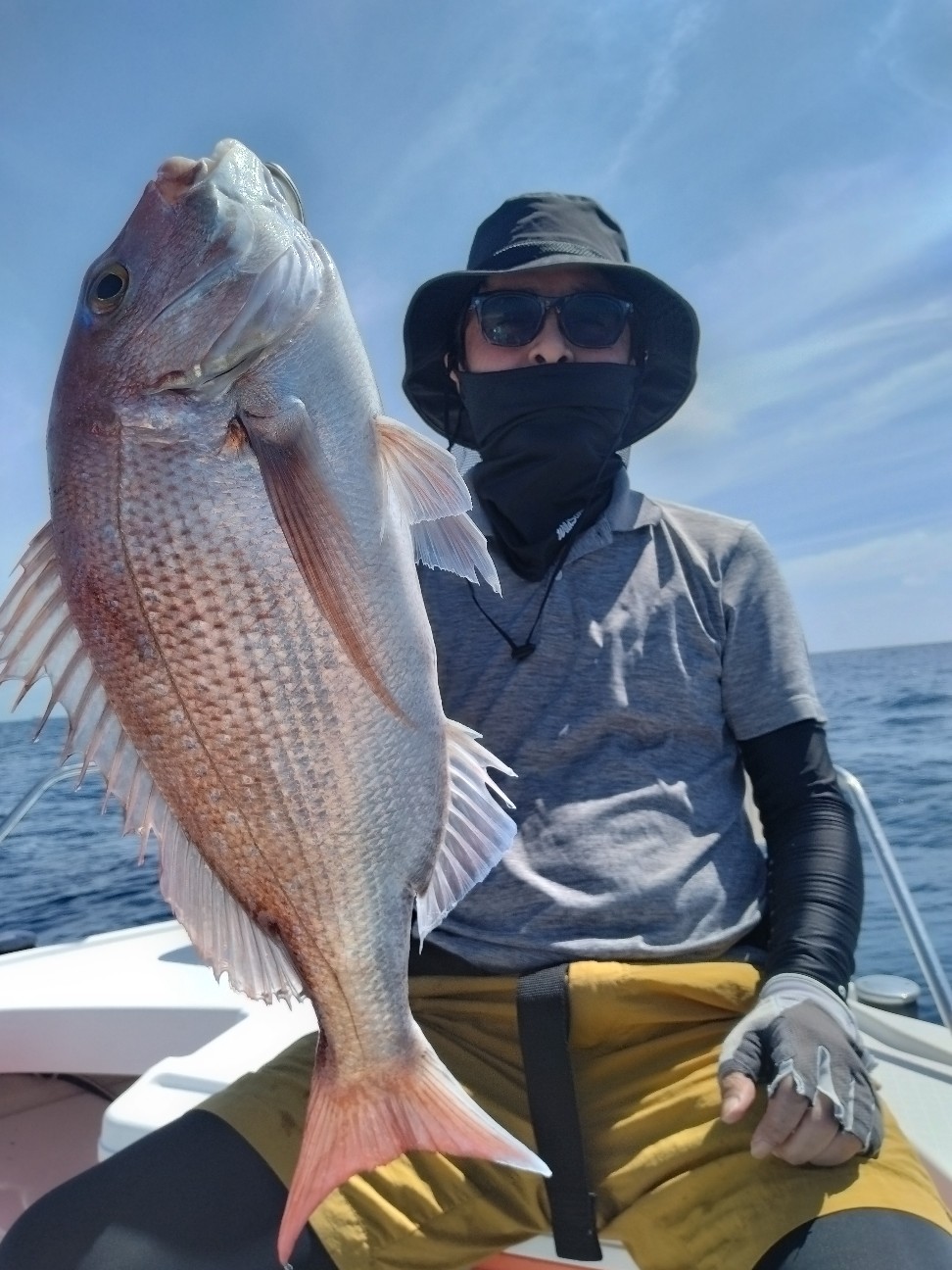f:id:Encounter:20260830102414j:image