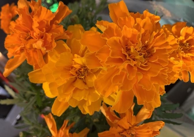 f:id:Energisch:20200512150329j:plain f:id:Energisch:20200512150329j:plain