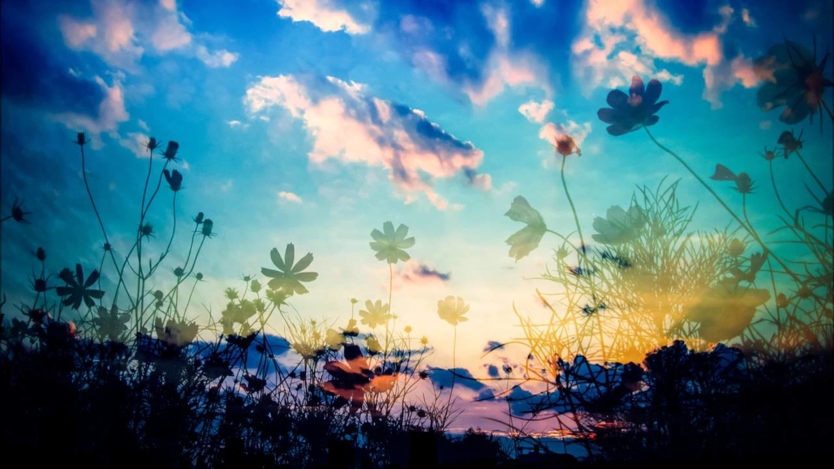 f:id:Energisch:20200512150700j:plain f:id:Energisch:20200512150700j:plain