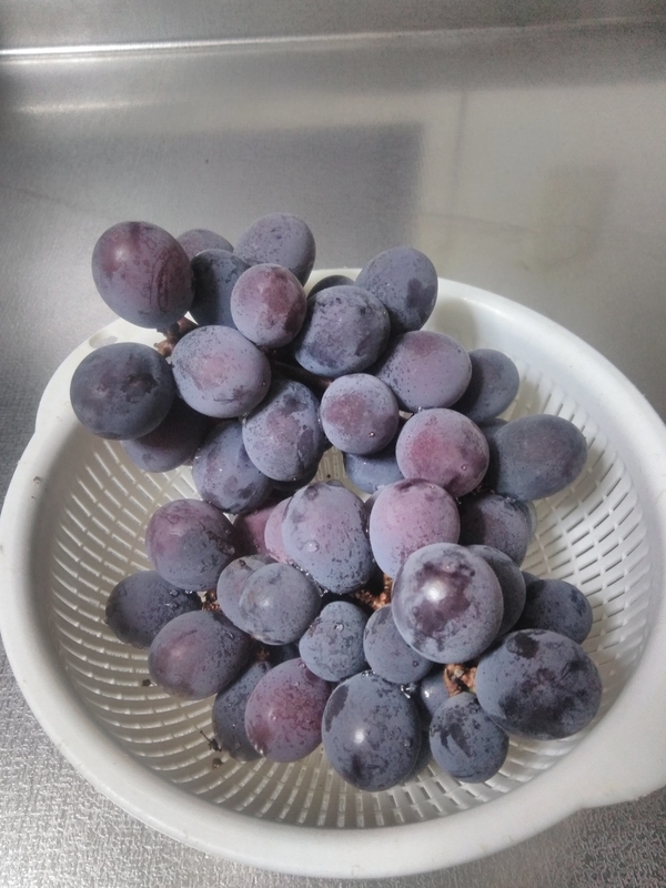 f:id:EnjoyBBB:20191008181053j:plain