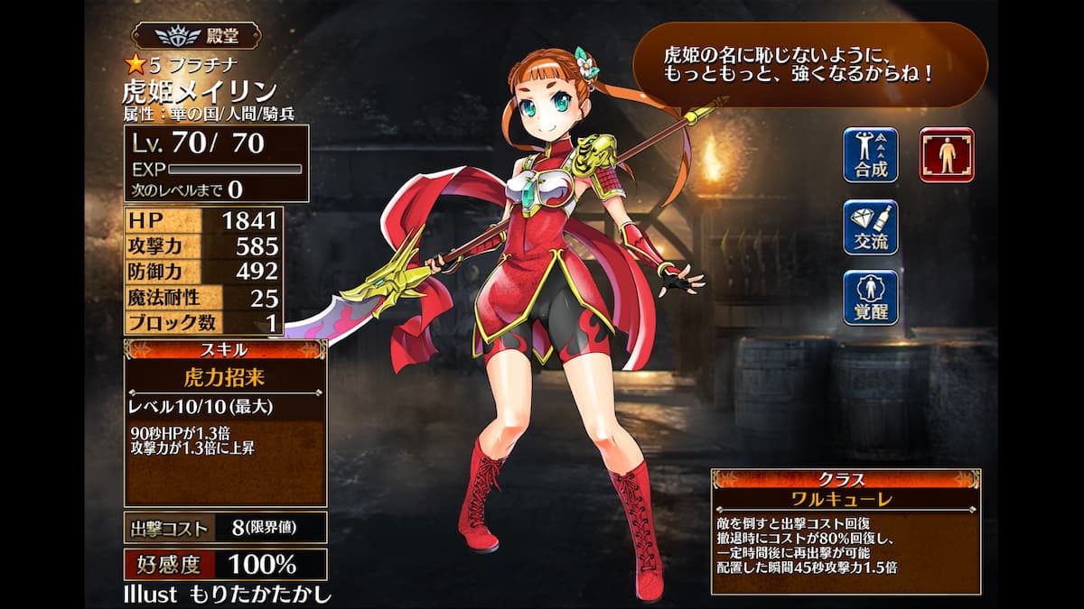 ワルキューレの虎姫メイリン