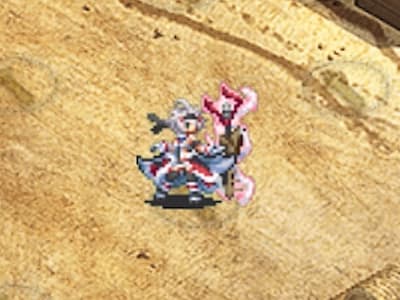 イビルクイーンの狼剣の魔姫ピリカの配置ドット絵