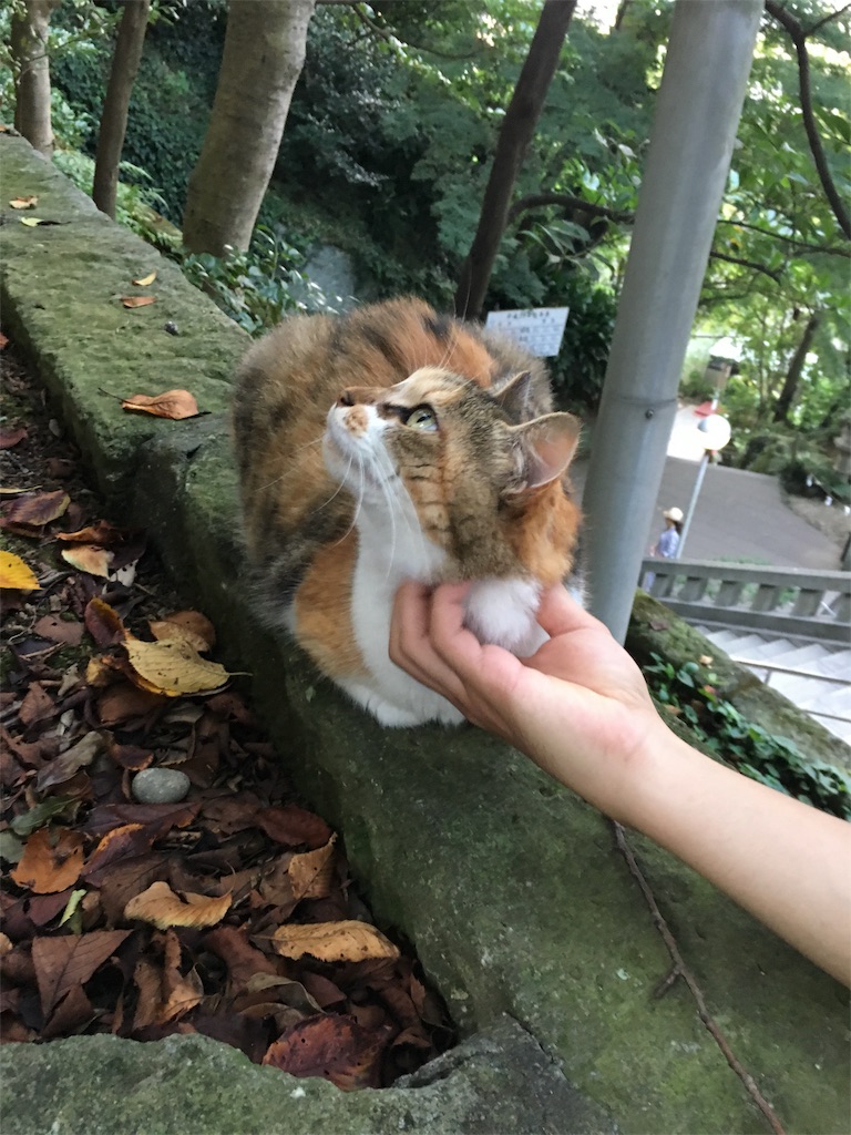 f:id:Ent_Yohiii:20170911183314j:image f:id:Ent_Yohiii:20170911183314j:image