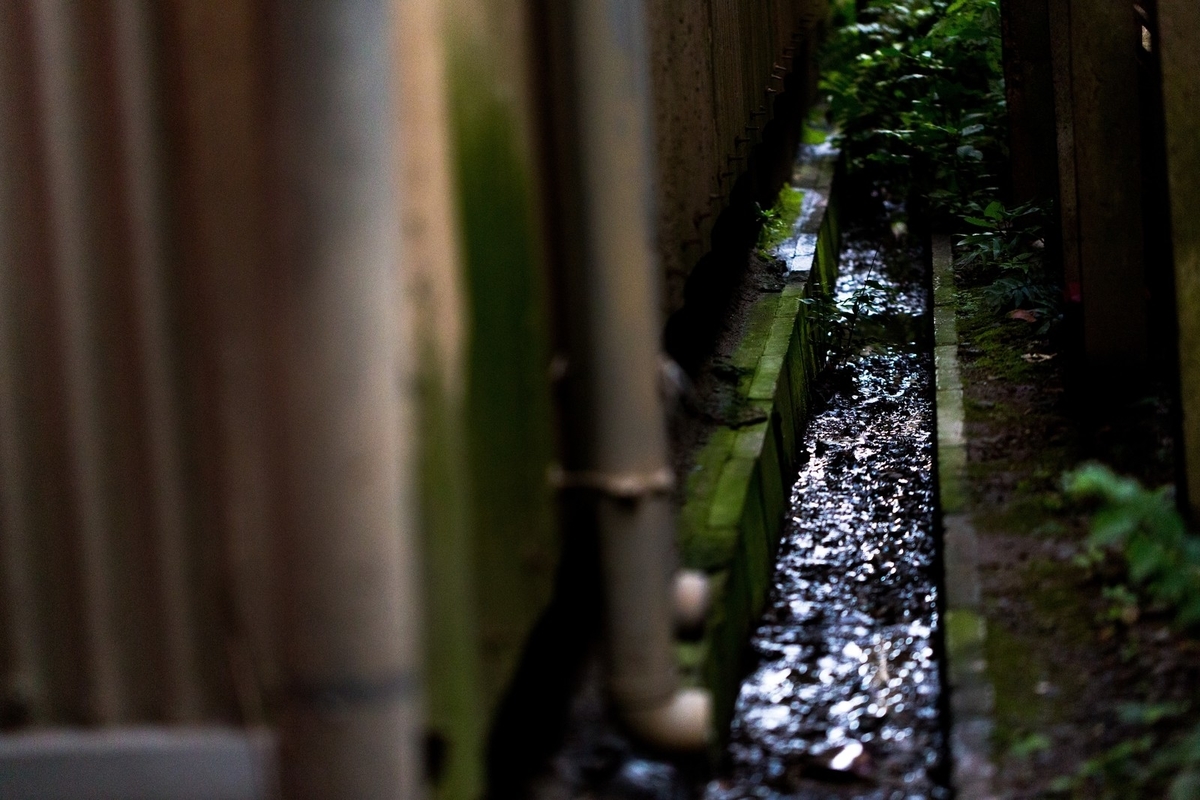 f:id:Environmenter:20200802171910j:plain
