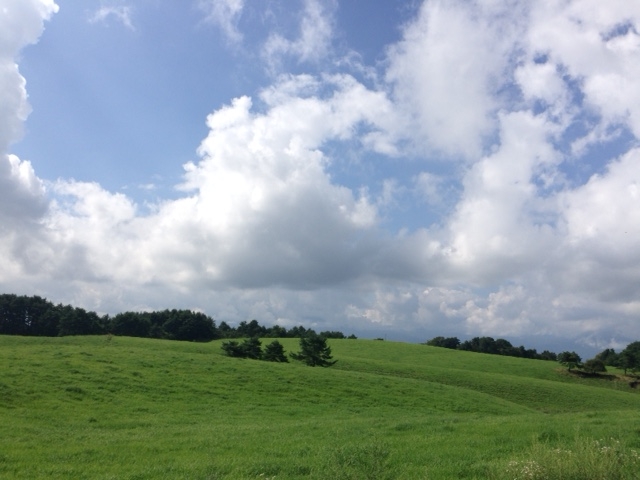 f:id:Enykey:20150824160202j:plain f:id:Enykey:20150824160202j:plain