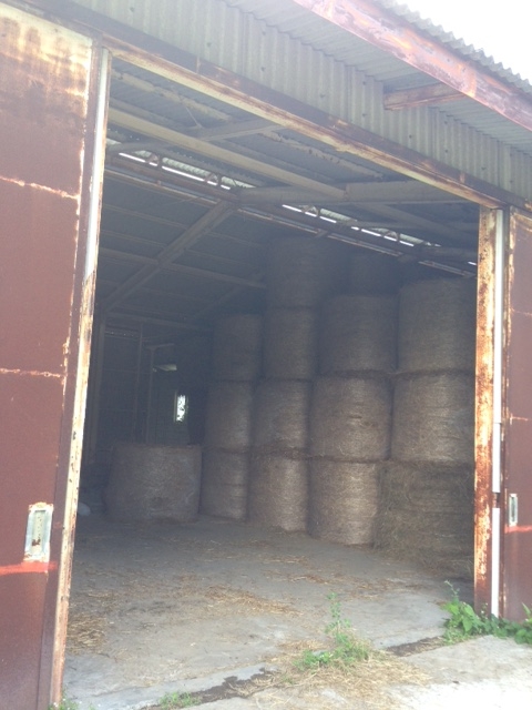 f:id:Enykey:20150825154549j:plain f:id:Enykey:20150825154549j:plain