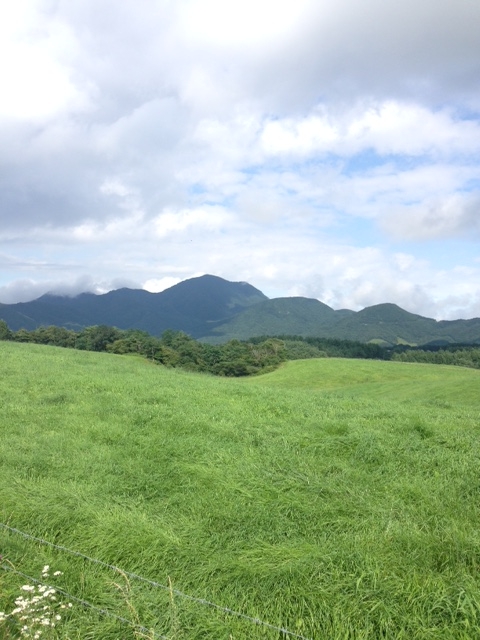 f:id:Enykey:20150825154703j:plain f:id:Enykey:20150825154703j:plain