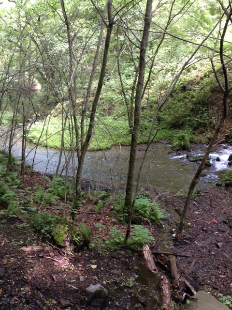 f:id:Enykey:20150825155107j:plain f:id:Enykey:20150825155107j:plain