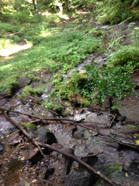 f:id:Enykey:20150825155108j:plain f:id:Enykey:20150825155108j:plain