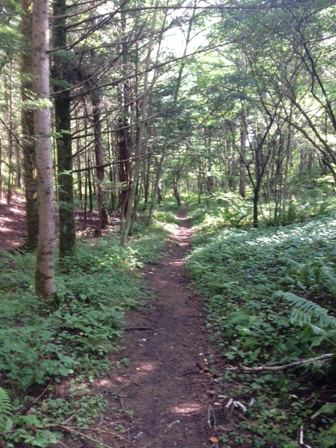 f:id:Enykey:20150825155110j:plain f:id:Enykey:20150825155110j:plain