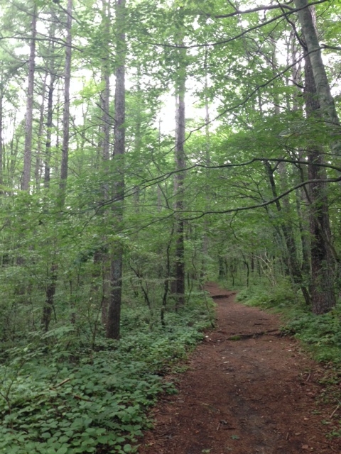 f:id:Enykey:20150827183900j:plain f:id:Enykey:20150827183900j:plain