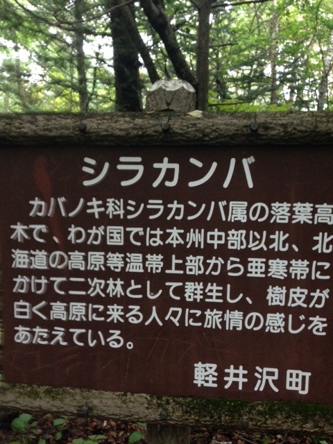 f:id:Enykey:20150827183902j:plain f:id:Enykey:20150827183902j:plain