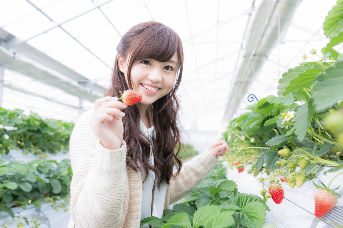f:id:Enykey:20200117150514j:plain f:id:Enykey:20200117150514j:plain